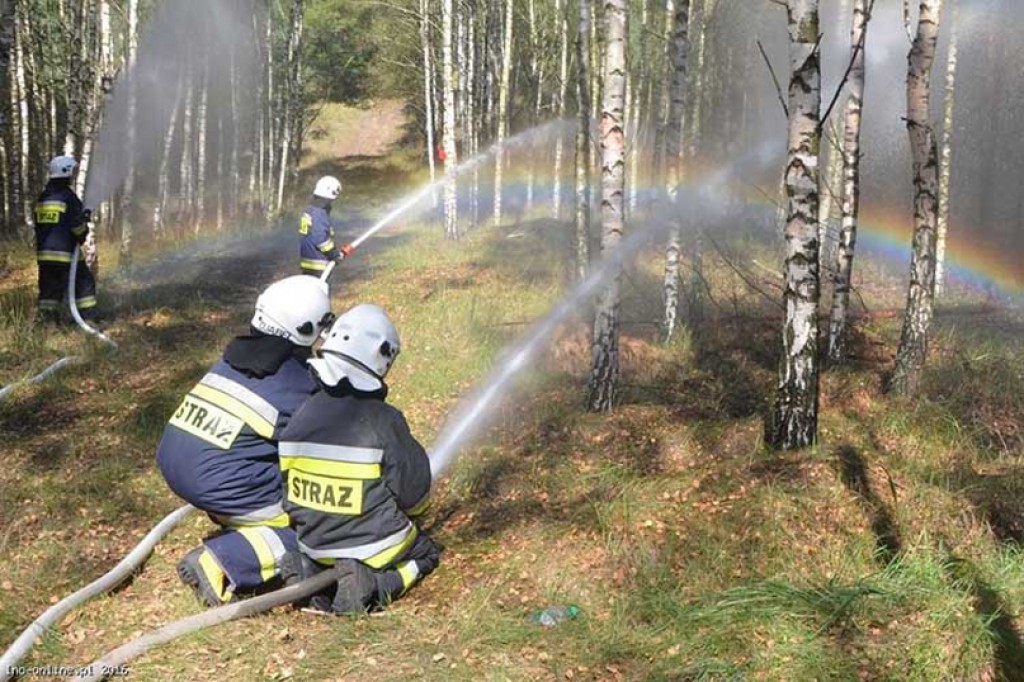 Wspólne ćwiczenia policjantów, strażaków i