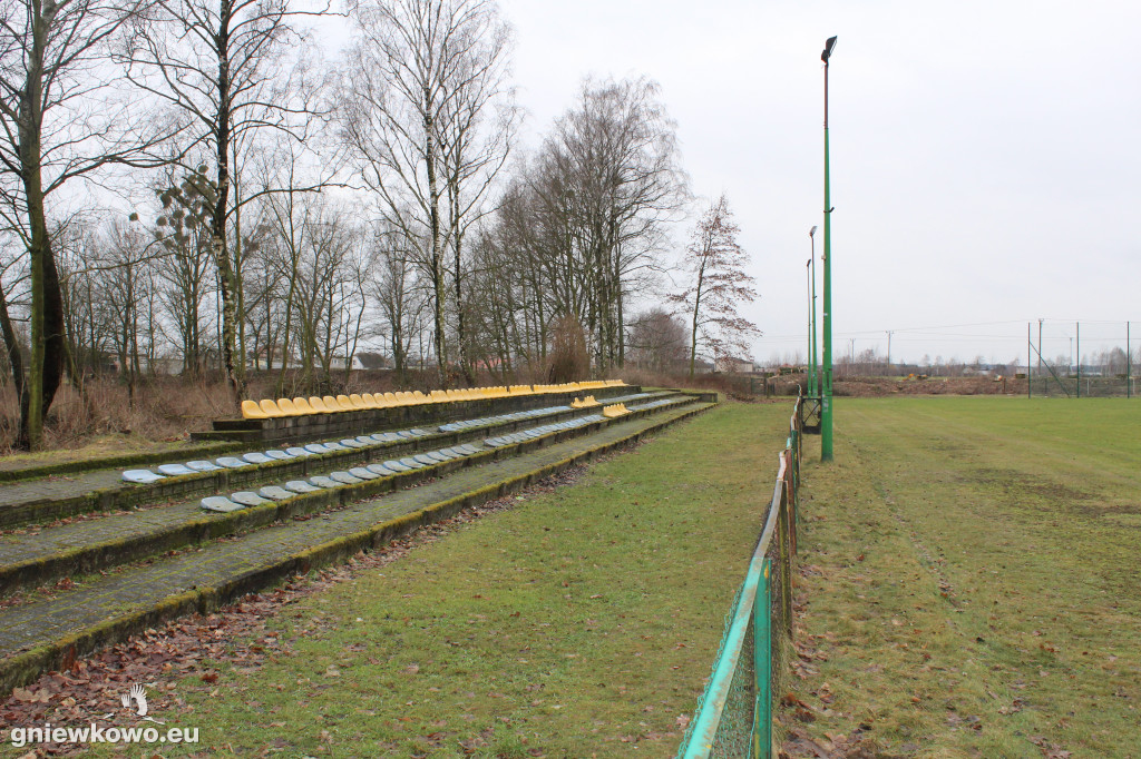 Wycięto drzewa na Stadionie Miejskim
