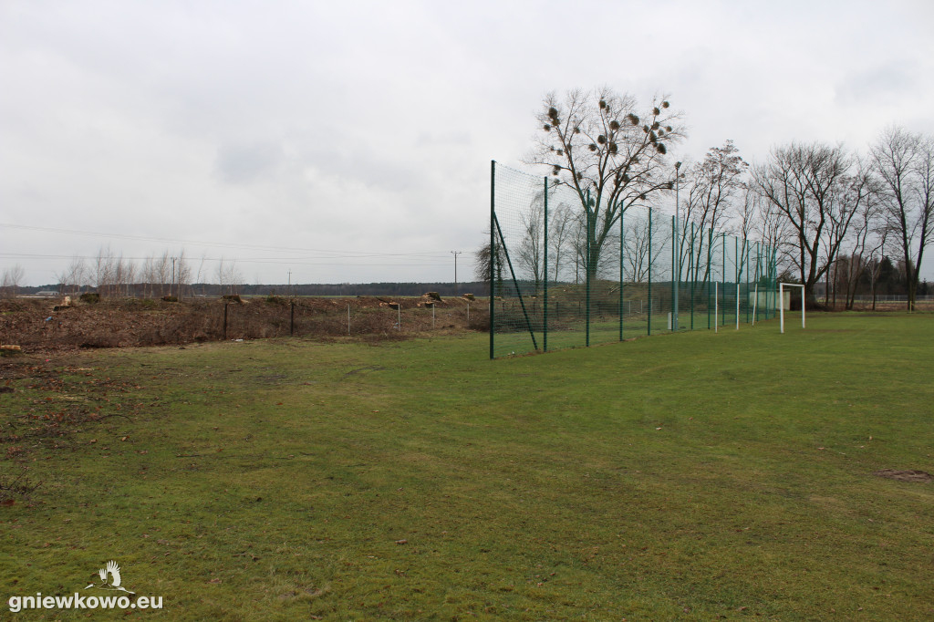 Wycięto drzewa na Stadionie Miejskim