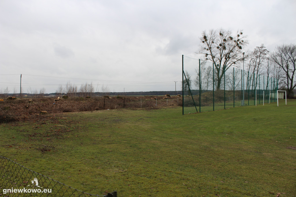 Wycięto drzewa na Stadionie Miejskim