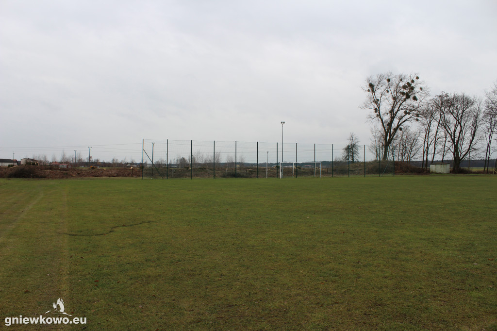 Wycięto drzewa na Stadionie Miejskim