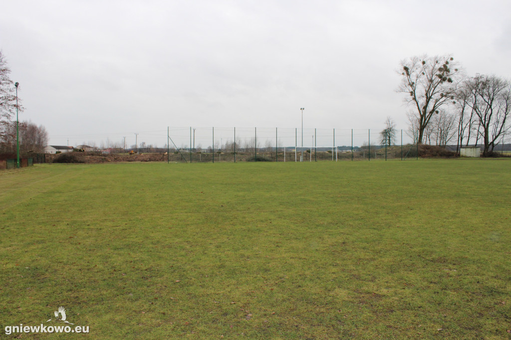 Wycięto drzewa na Stadionie Miejskim
