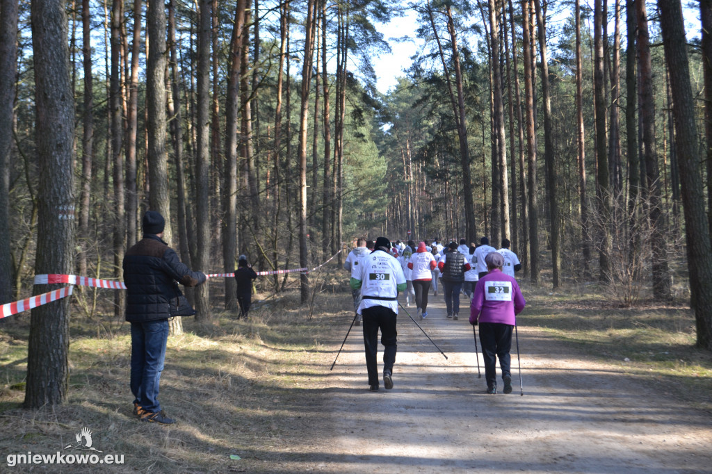Bieg Tropem Wilczym w Suchatówce