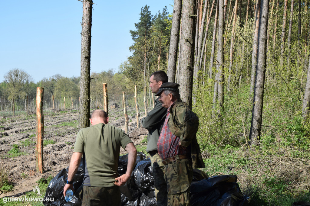 750 dębów na 750 lat Gniewkowa
