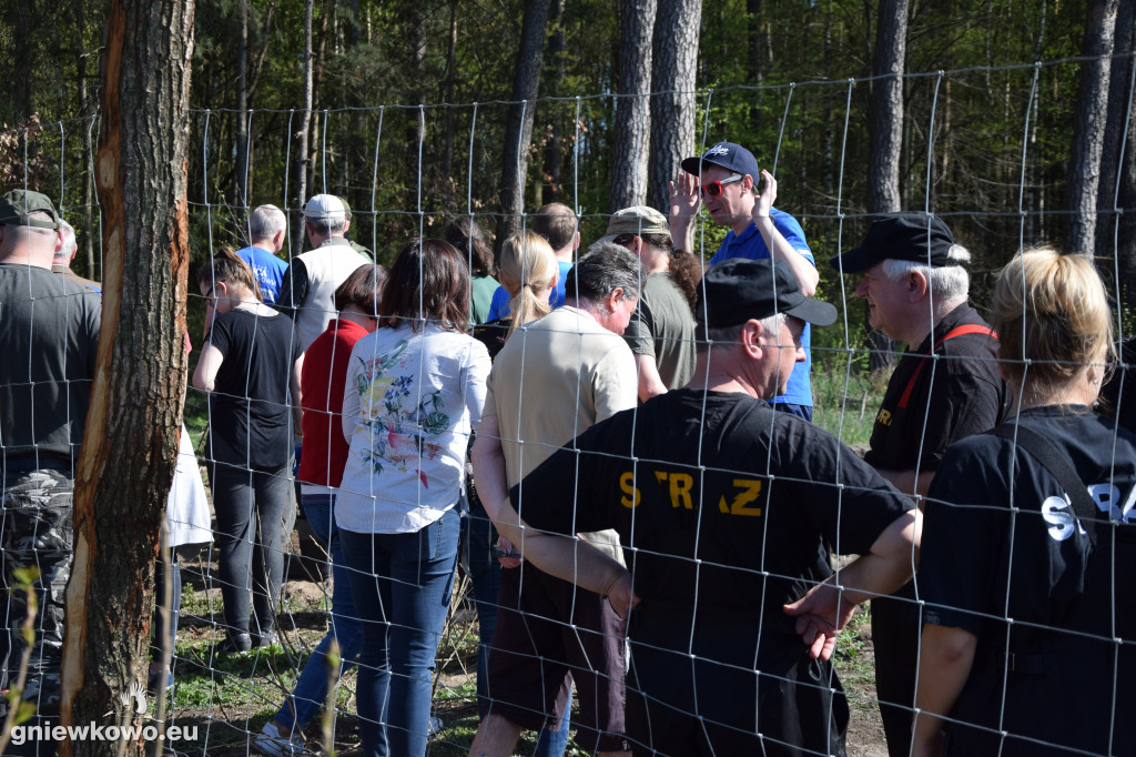 750 dębów na 750 lat Gniewkowa