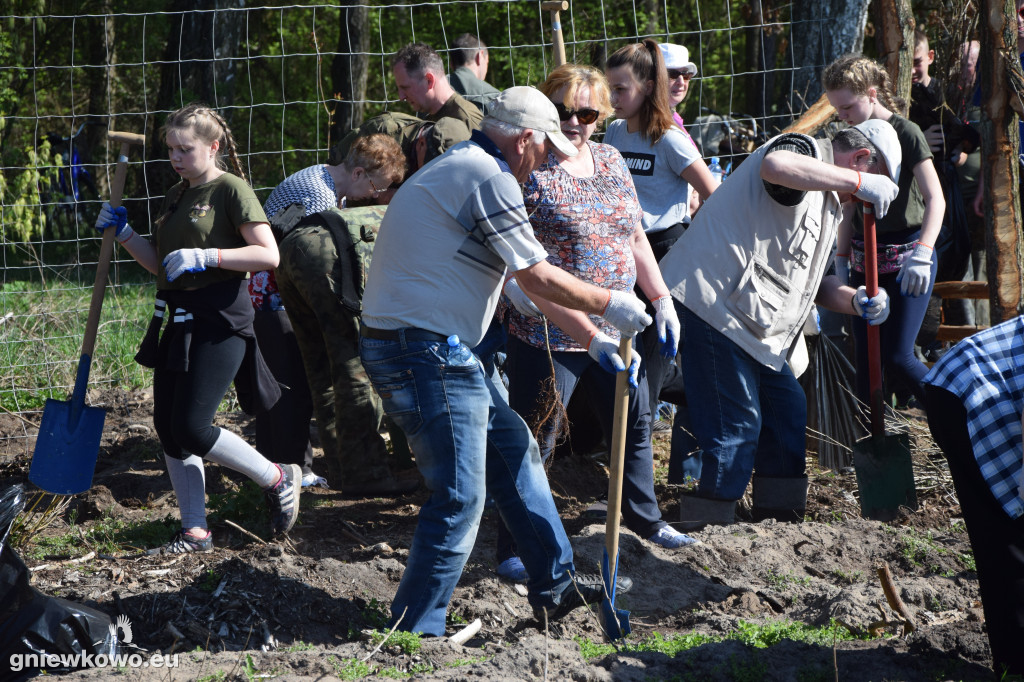 750 dębów na 750 lat Gniewkowa