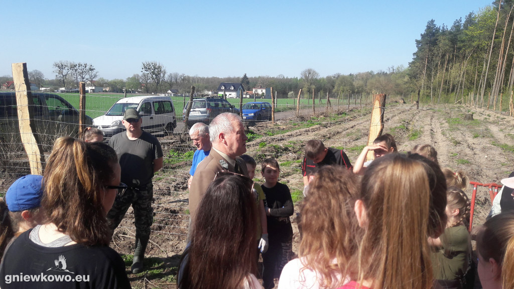 750 dębów na 750 lat Gniewkowa