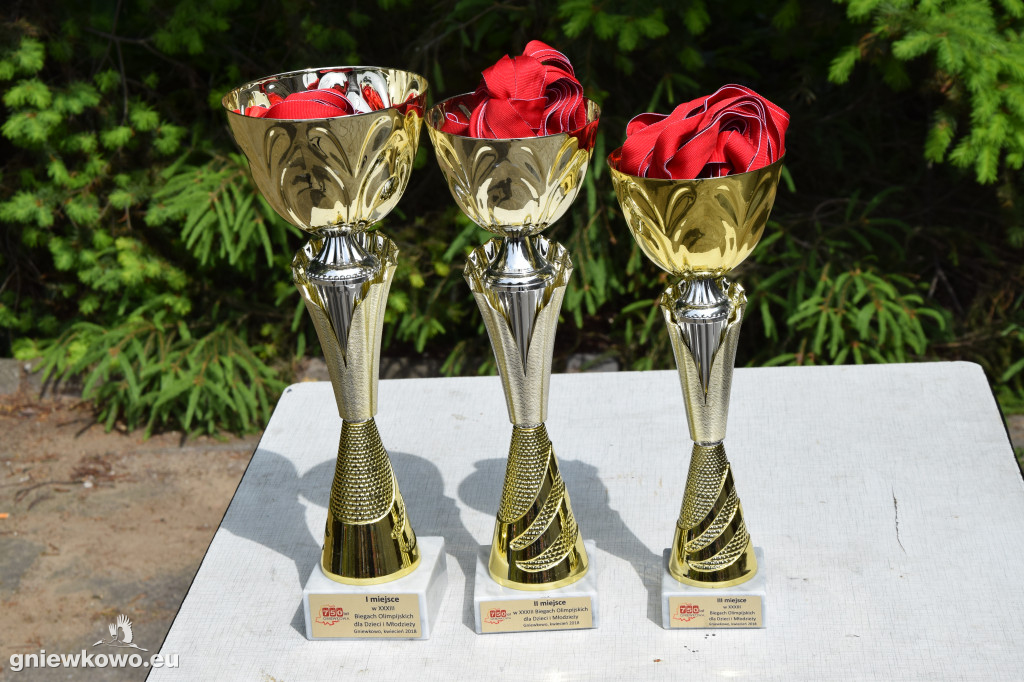 XXXIII Biegi Olimpijskie dla uczniów SP