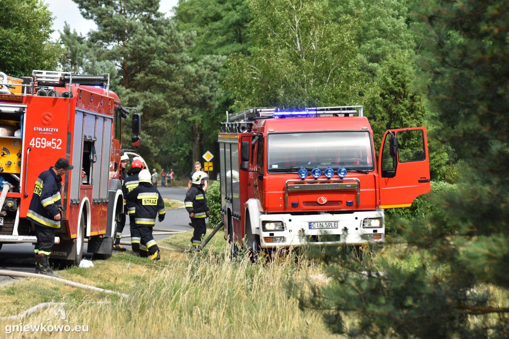 Pożar lasu w Zajezierzu