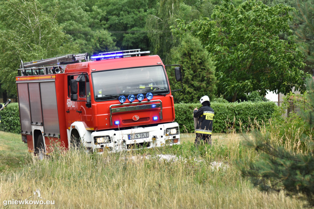 Pożar lasu w Zajezierzu