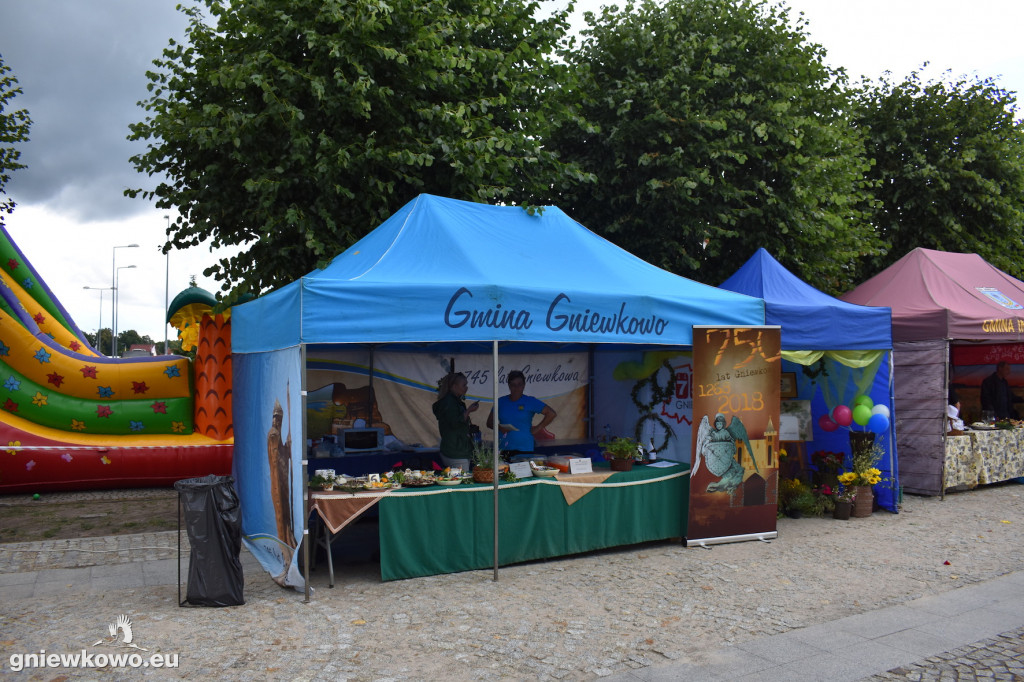 Piknik historyczny 