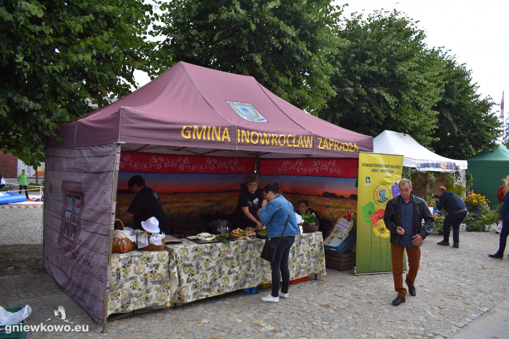 Piknik historyczny 
