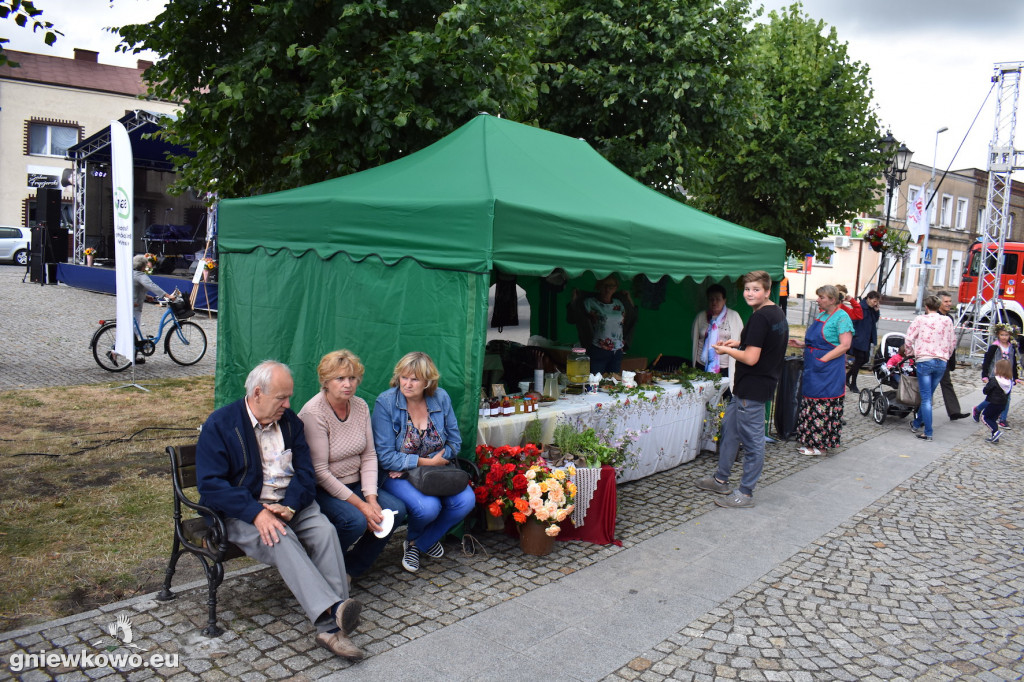 Piknik historyczny 