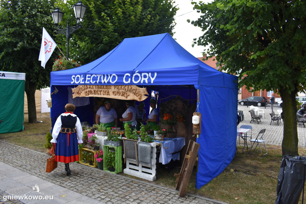 Piknik historyczny 