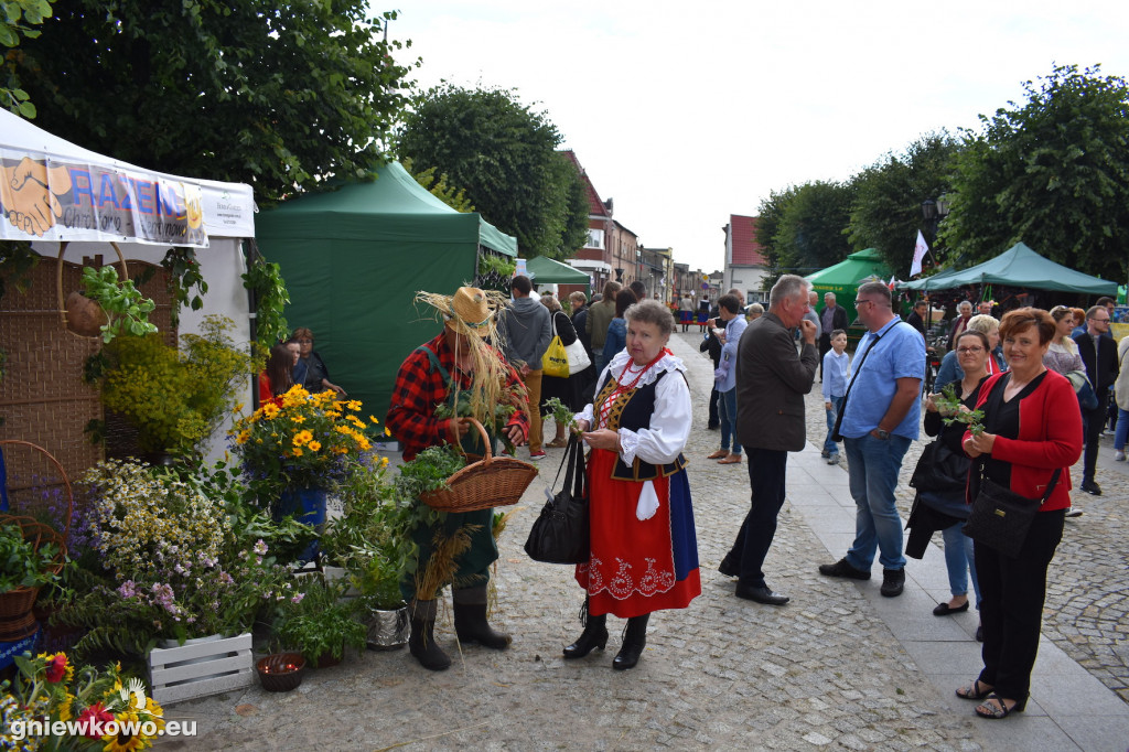 Piknik historyczny 