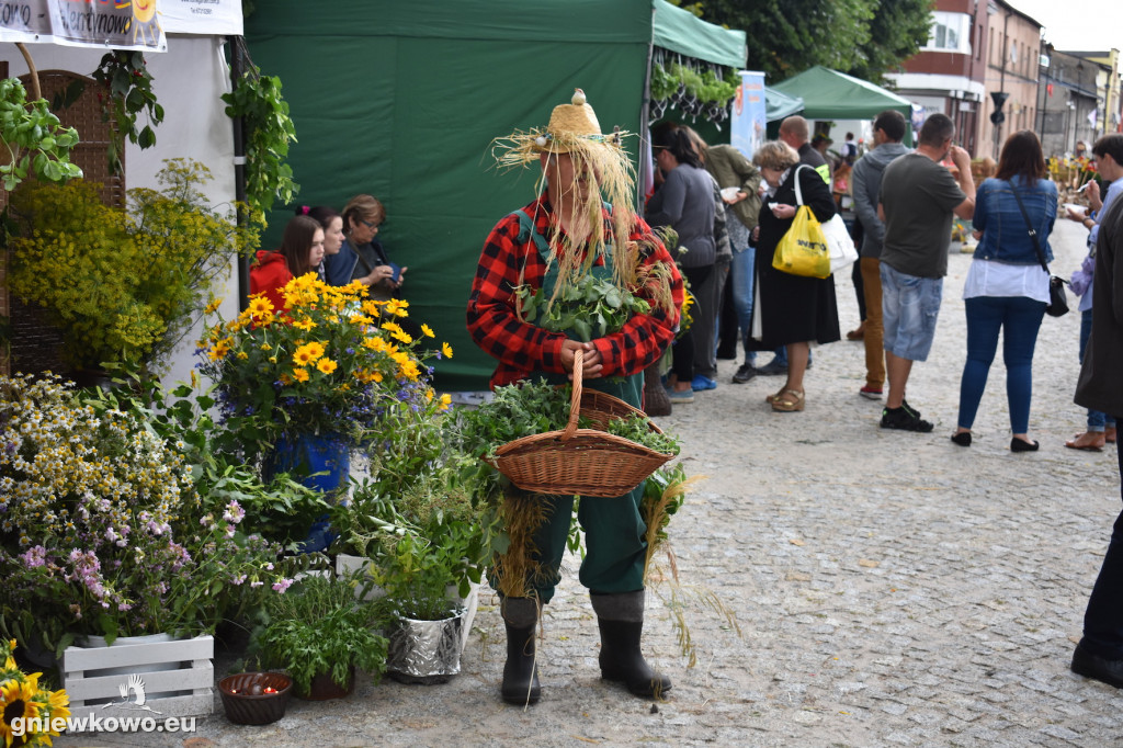Piknik historyczny 