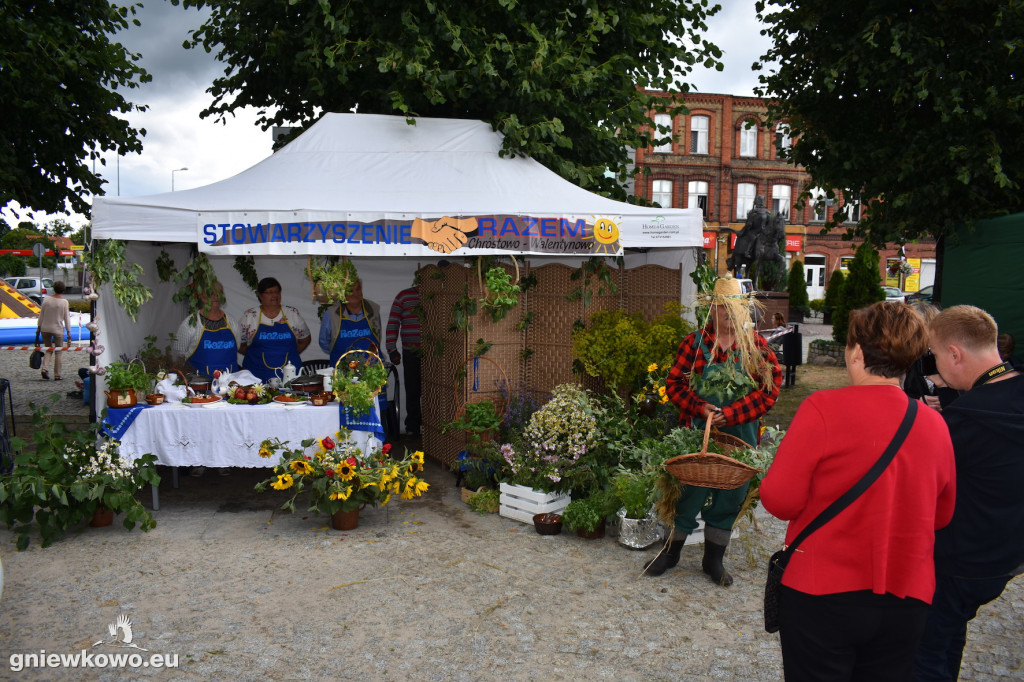 Piknik historyczny 