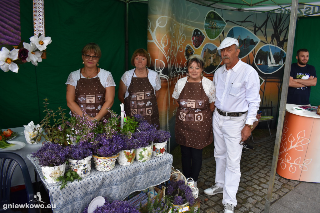 Piknik historyczny 