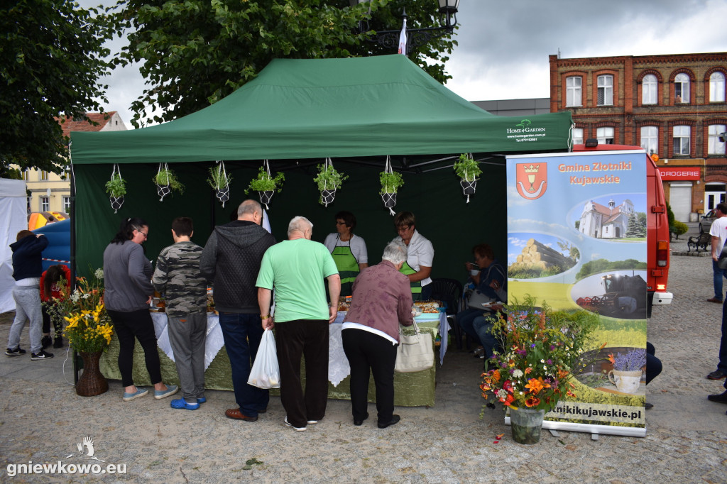 Piknik historyczny 
