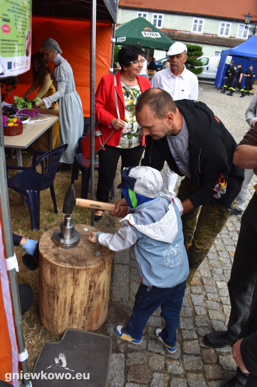 Piknik historyczny 