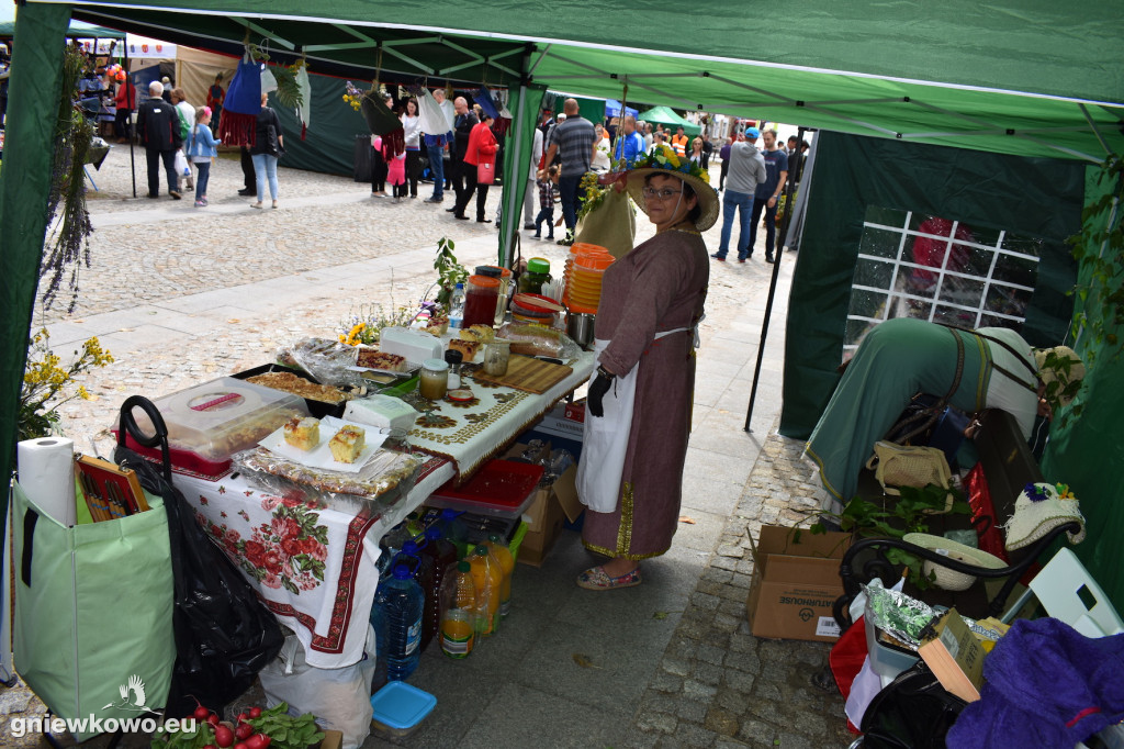 Piknik historyczny 