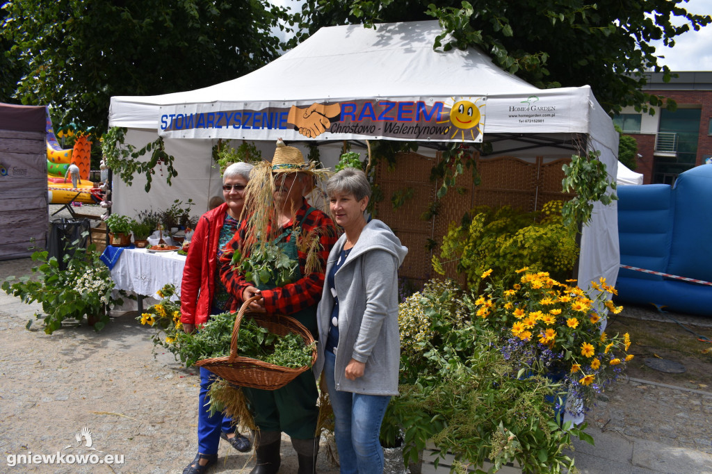 Piknik historyczny 