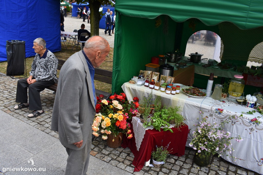 Piknik historyczny 