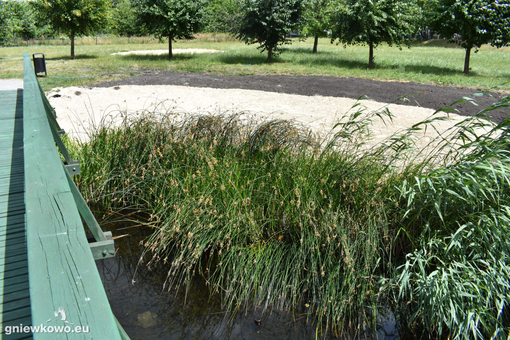 Budowa plaży nad stawkiem