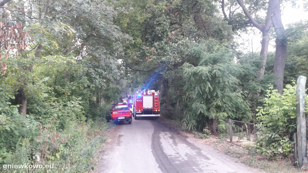 Nocny pożar w Wielowsi