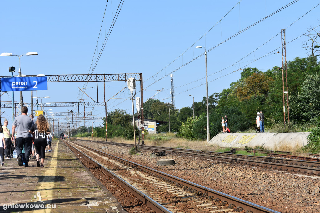 Piernik przejechał przez Gniewkowo