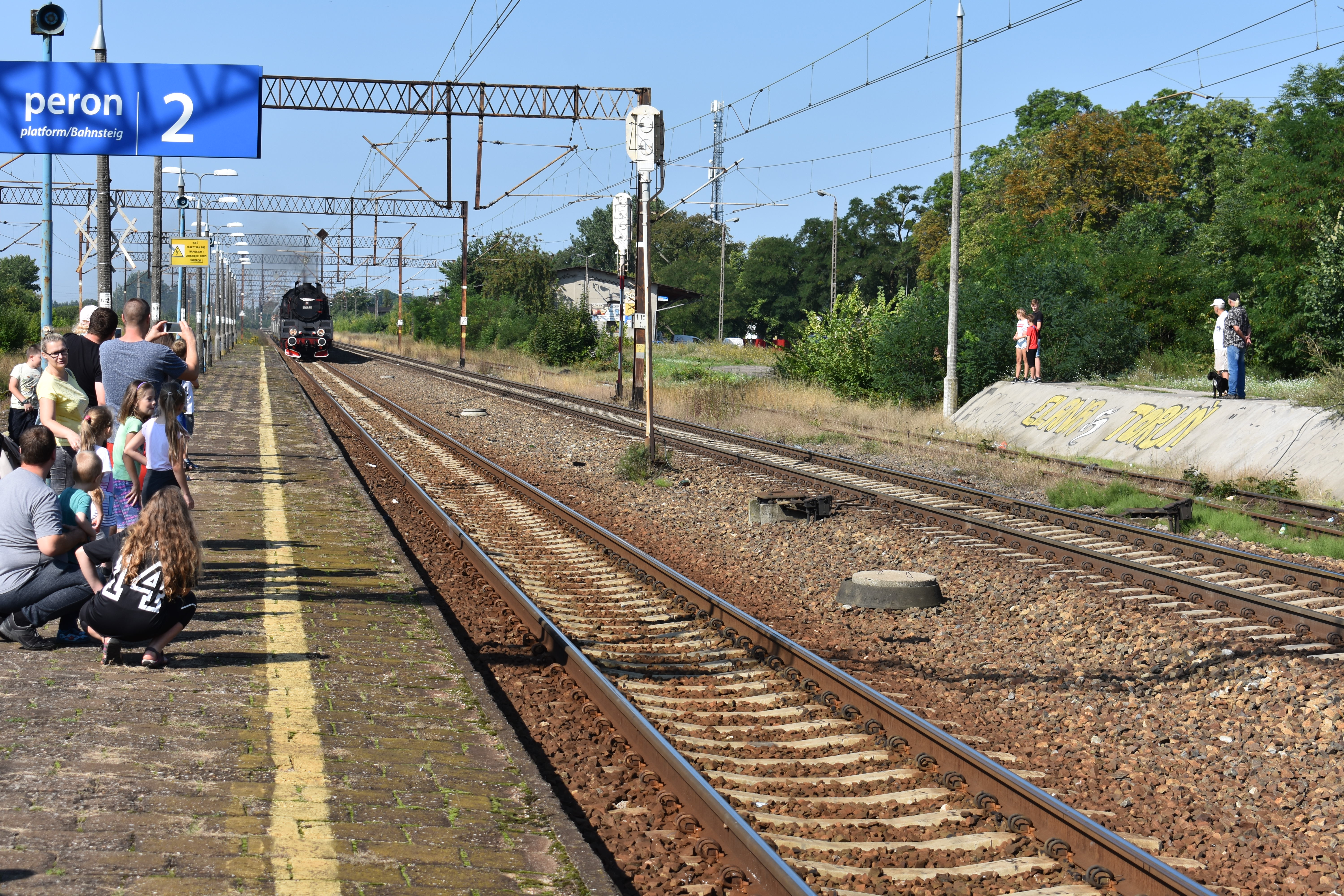 Piernik przejechał przez Gniewkowo