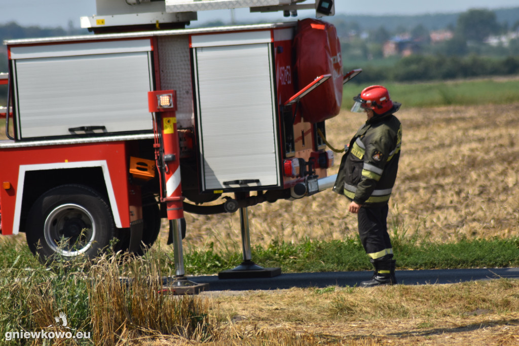 Strażacy uwolnili bociana w Perkowie