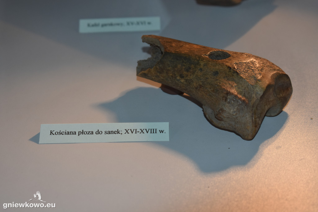 Wystawa zabytków archeologicznych