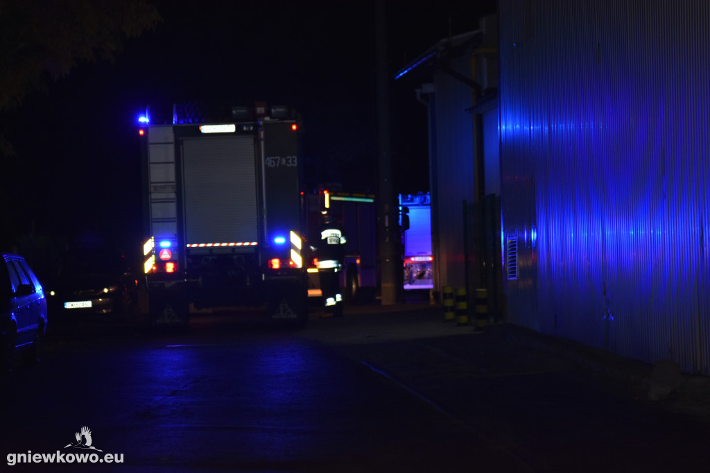 Akcja strażaków w Interlight