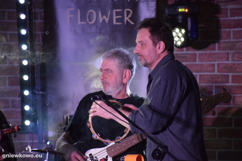 Koncert Panzerflower i BZIKoteka