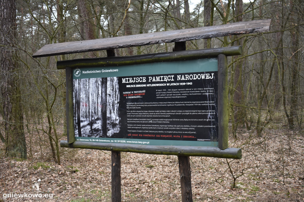 Bieg Tropem Wilczym: w hołdzie Żołnierzom Wyklętym-Gniewkowo 2019