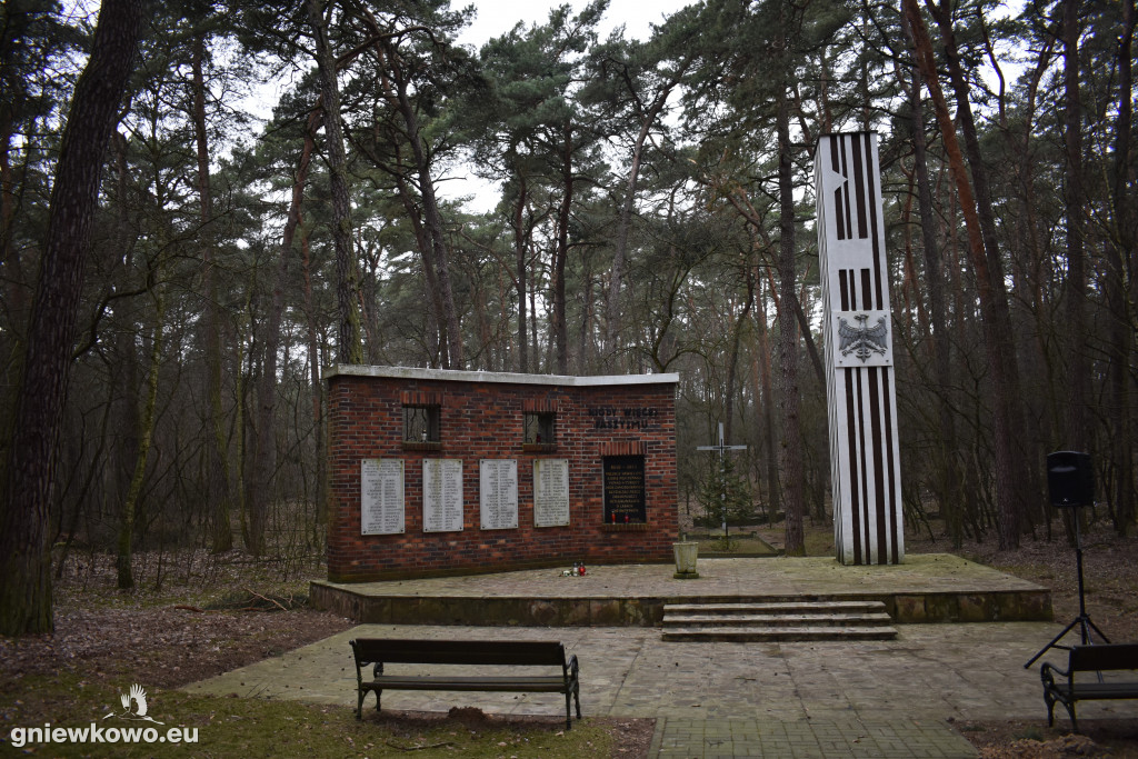 Bieg Tropem Wilczym: w hołdzie Żołnierzom Wyklętym-Gniewkowo 2019