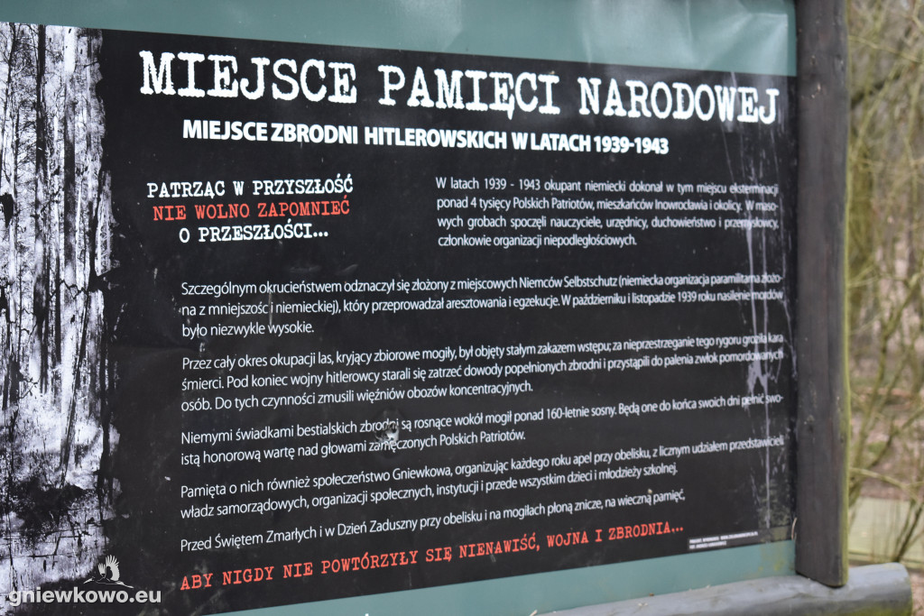 Bieg Tropem Wilczym: w hołdzie Żołnierzom Wyklętym-Gniewkowo 2019
