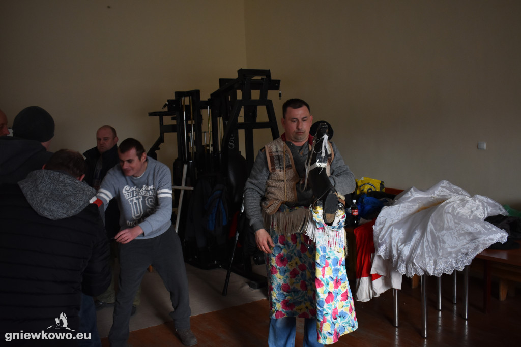 Podkoziołek w Lipiu i Gniewkowie