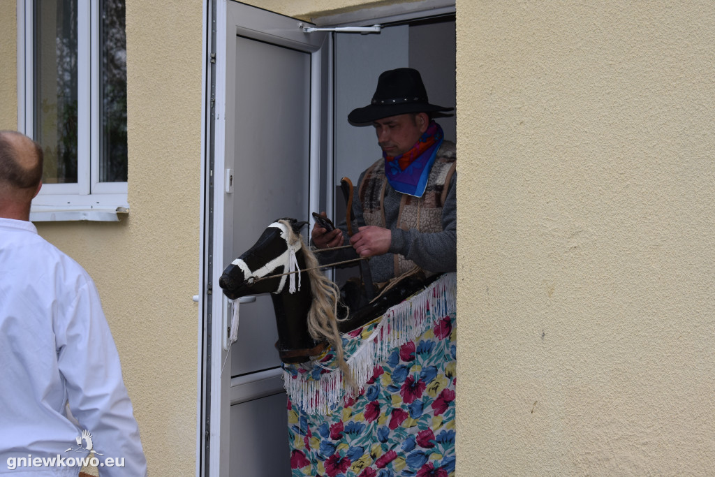 Podkoziołek w Lipiu i Gniewkowie