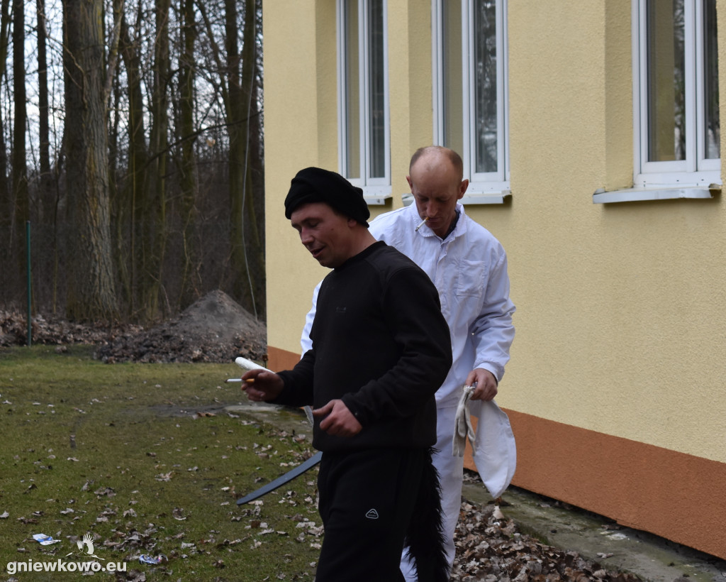 Podkoziołek w Lipiu i Gniewkowie