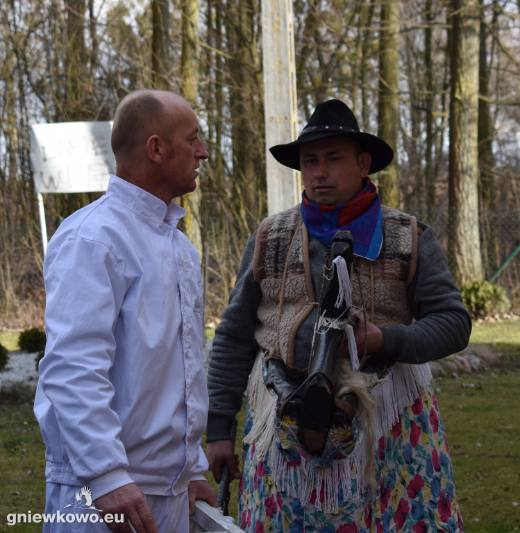 Podkoziołek w Lipiu i Gniewkowie
