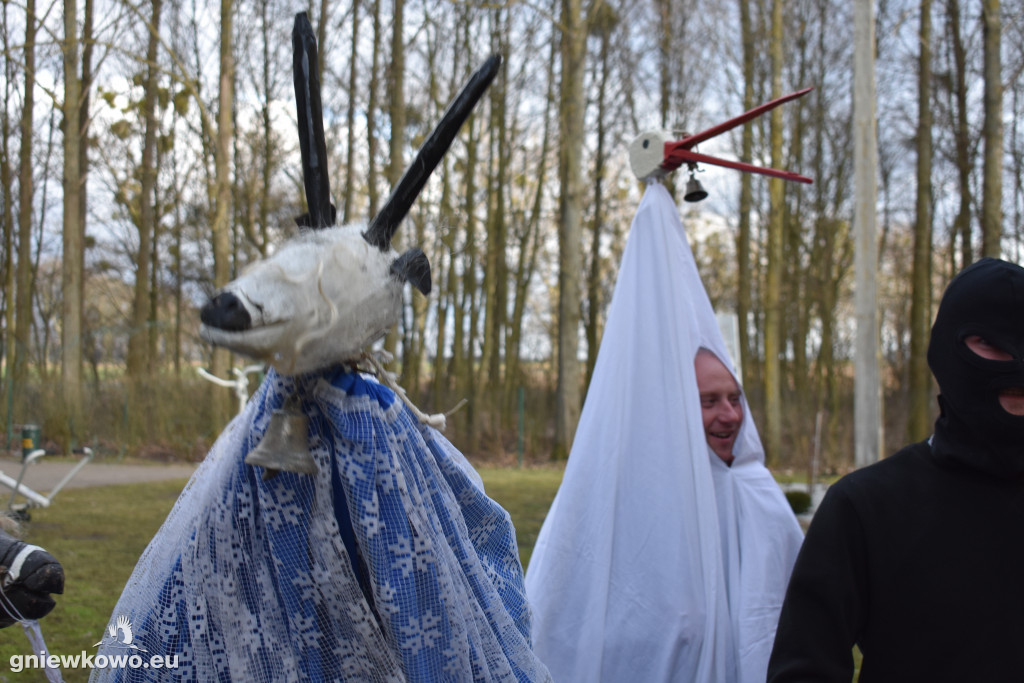 Podkoziołek w Lipiu i Gniewkowie