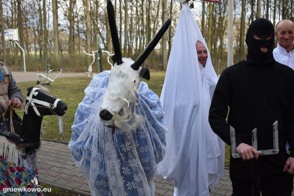 Podkoziołek w Lipiu i Gniewkowie