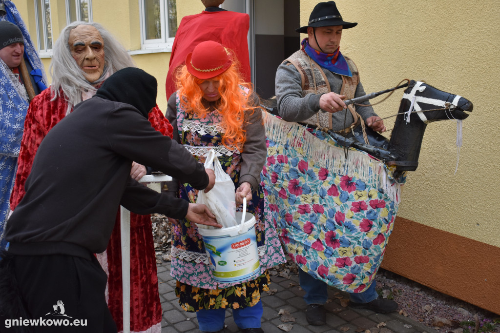 Podkoziołek w Lipiu i Gniewkowie