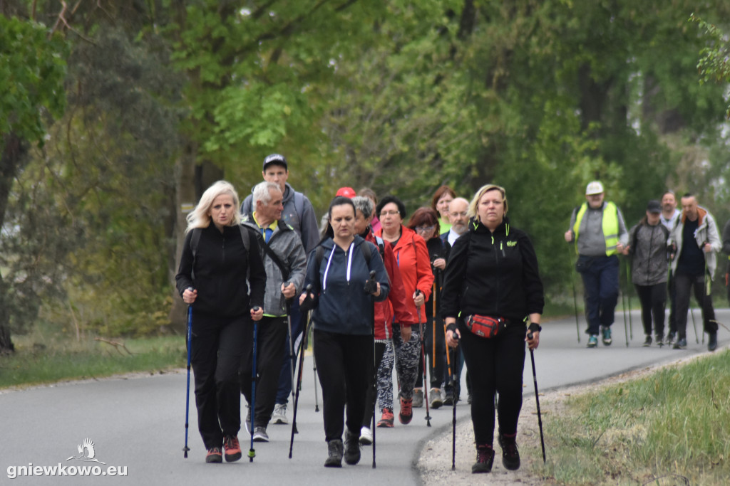 Nordic Walking-Gniewkowo 27.04.2019