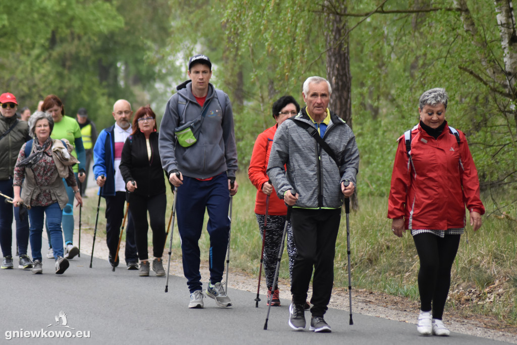 Nordic Walking-Gniewkowo 27.04.2019