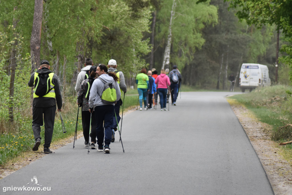Nordic Walking-Gniewkowo 27.04.2019