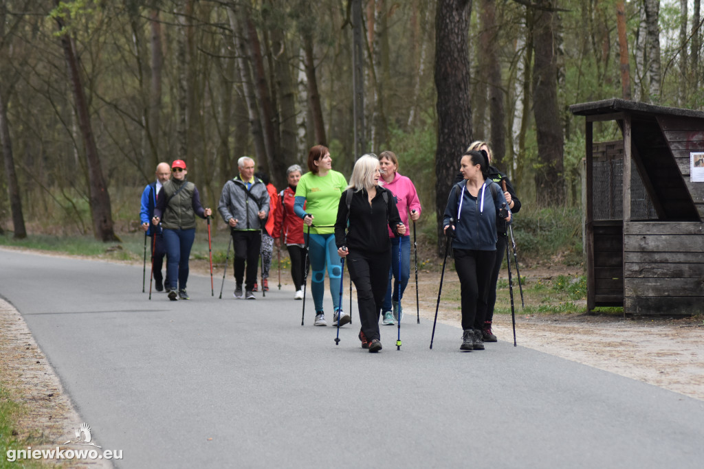 Nordic Walking-Gniewkowo 27.04.2019