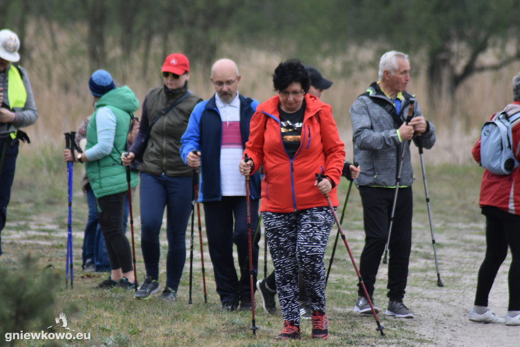 Nordic Walking-Gniewkowo 27.04.2019